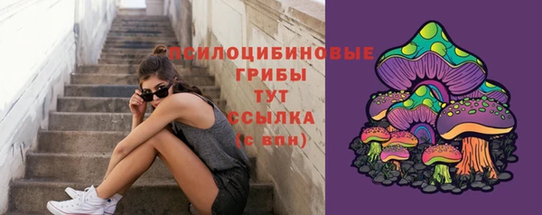 эйфоретик Няндома