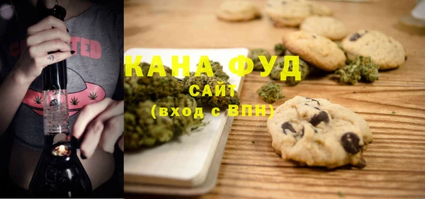 эйфоретик Няндома