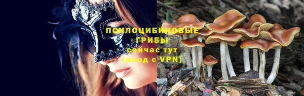 первитин Нязепетровск