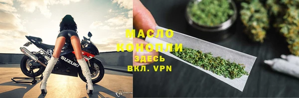 эйфоретик Няндома