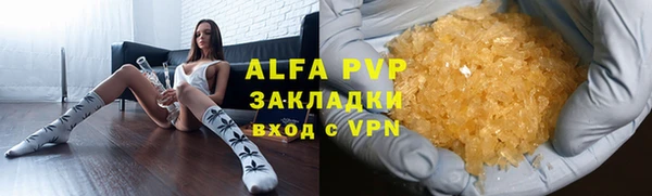 эйфоретик Няндома