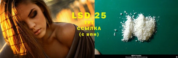 эйфоретик Няндома