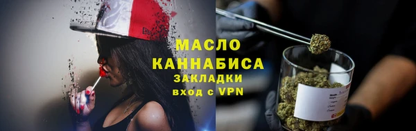эйфоретик Няндома