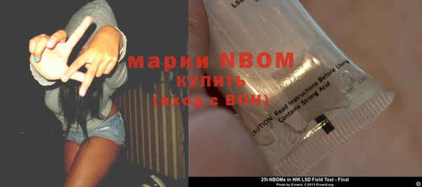 эйфоретик Няндома