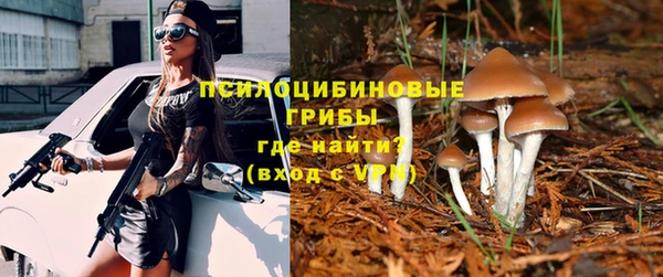 МДПВ Новозыбков
