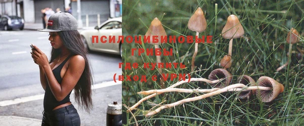 mdpv Нягань