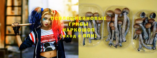 эйфоретик Няндома