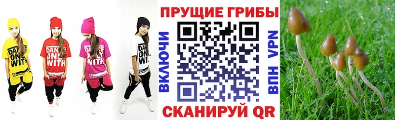 Псилоцибиновые грибы Magic Shrooms  Кировград 