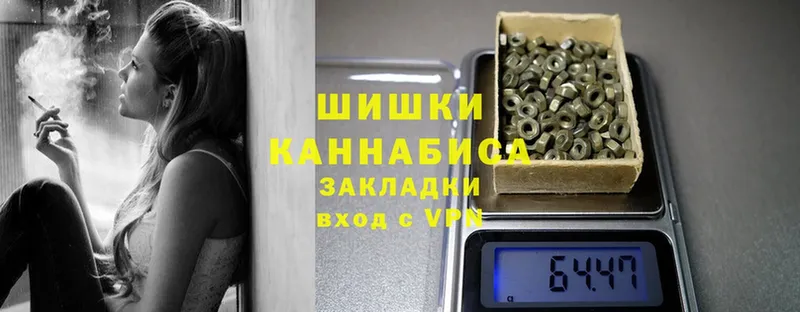 как найти наркотики  Кировград  Бошки Шишки SATIVA & INDICA 